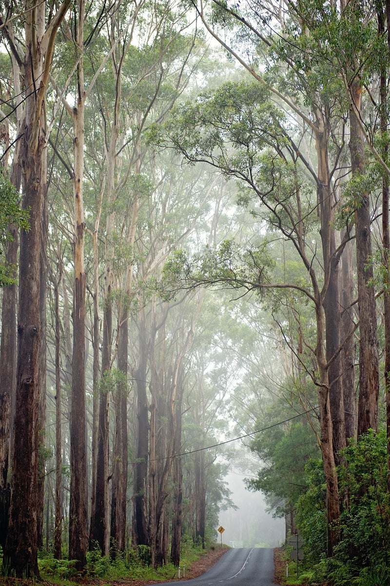 Wilderness Adventures